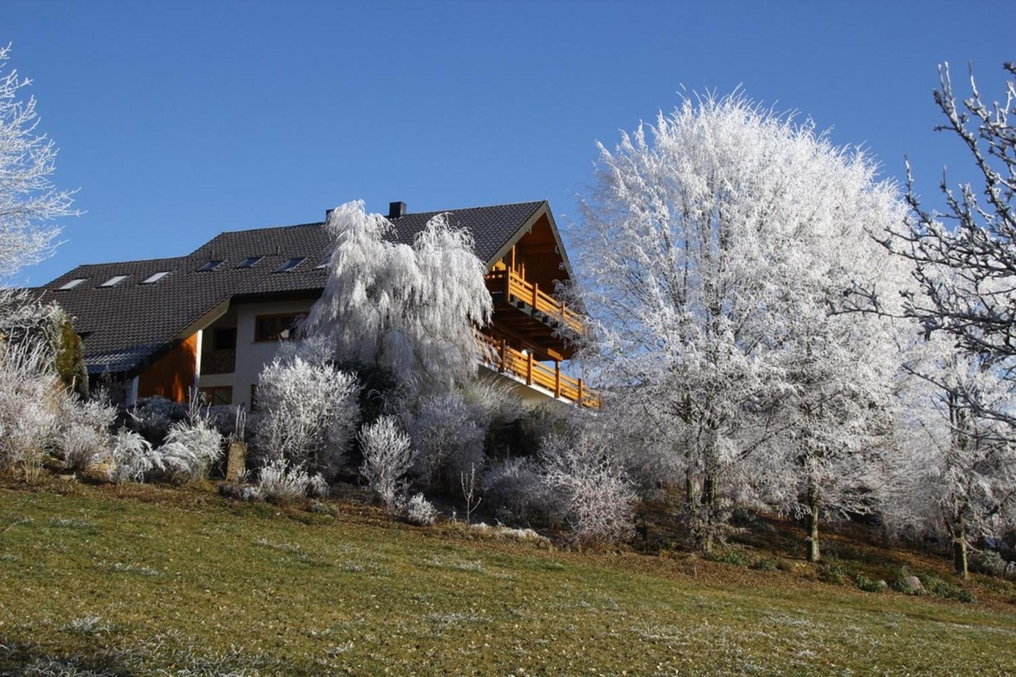 Haus Am See Illmensee Экстерьер фото
